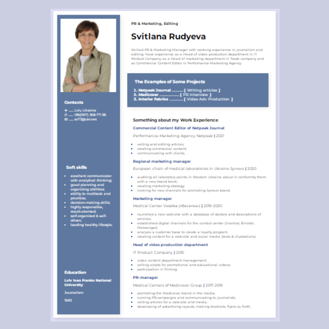 Preview of the CV template